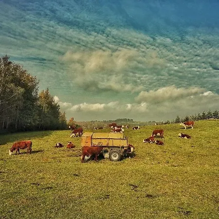 Lägenhet Bernsteininsel *
